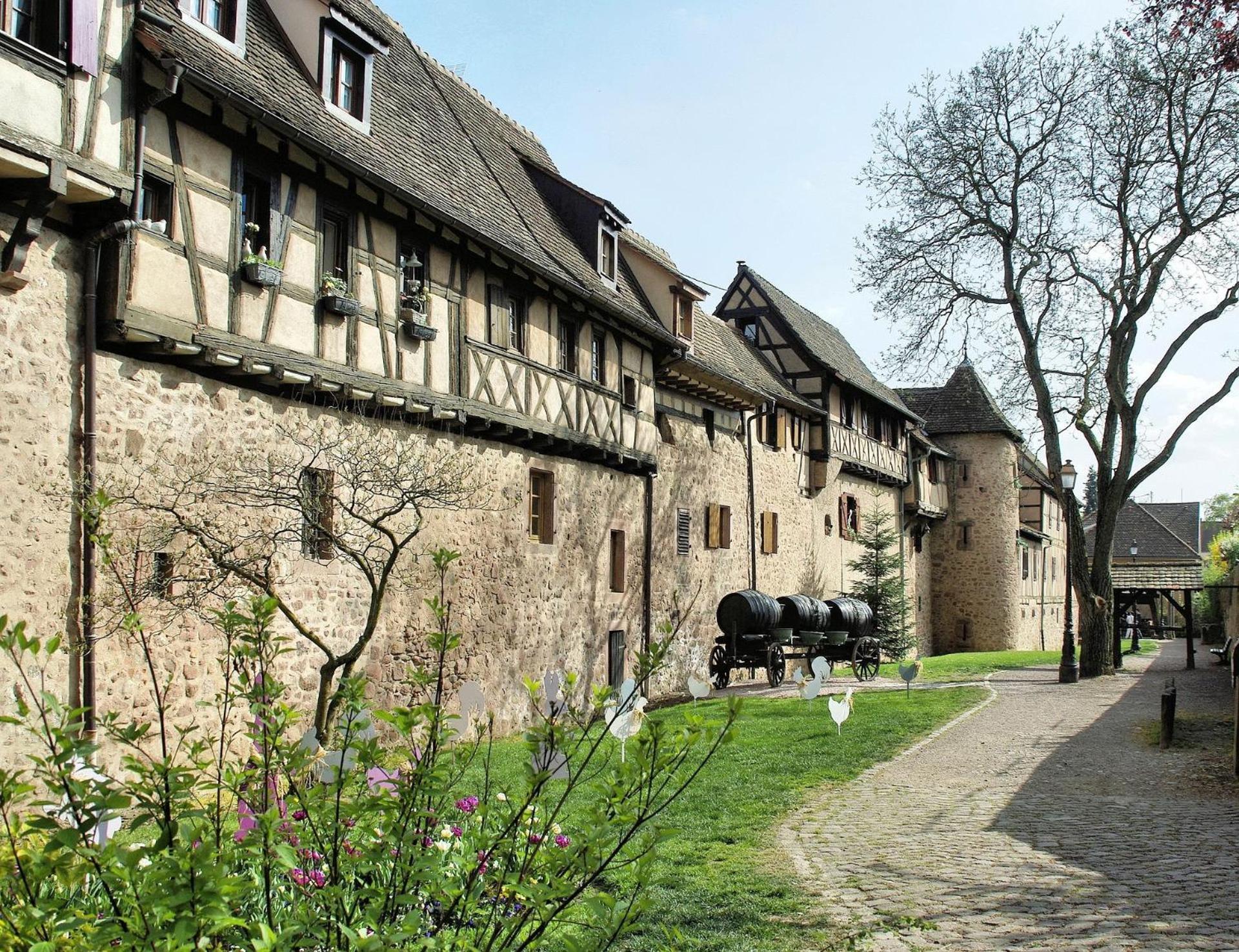 Chez Romane - Appartement Avec Parking Riquewihr Bagian luar foto